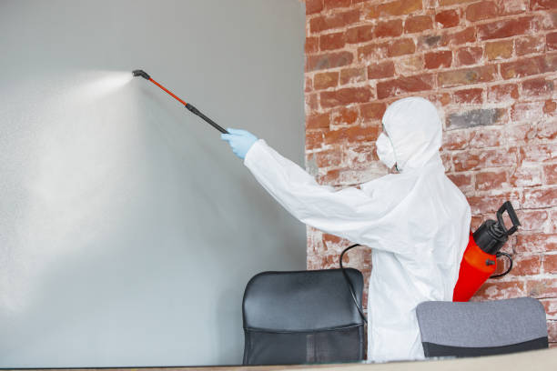 Best Post-Construction Mold Inspection  in Herricks, NY