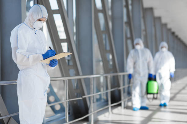 Best Emergency Mold Remediation  in Herricks, NY