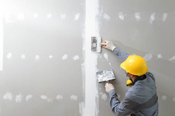 Best HVAC Mold Inspection and Cleaning  in Herricks, NY