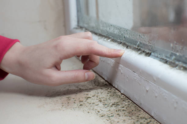 Best Post-Remediation Verification Testing  in Herricks, NY