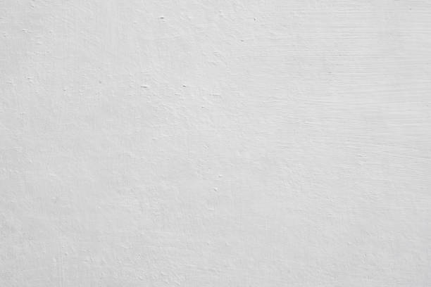 Professional Mold Removal in Herricks, NY