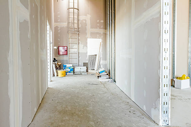 Best Environmental Consulting for Mold Prevention  in Herricks, NY
