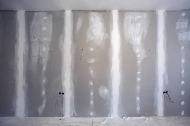 Best Mold Prevention Services  in Herricks, NY